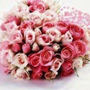 Meet your Posher, Rahma